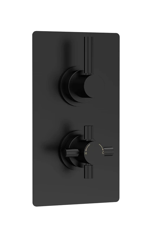 Hudson Reed A4003V Tec Lever Modern Bathroom Lever Twin Thermostatic Concealed Shower Valve - 1 Outlet, 215mm, Matt Black