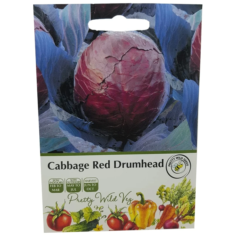 Cabbage Red Drumhead Seeds in Pictorial Packet from a UK Seller Solid, Round Heads with Good Internal Structure