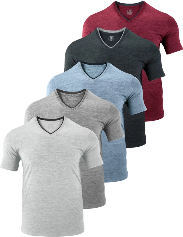 5 Pack Mens V-Neck Dry Fit T-Shirts, Active Athletic Short Sleeve Workout Tops, Performance Gym Tees (Available in Plus Size), Heather Grays/Light Blue/Black/Maroon, Large