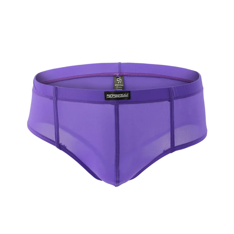 Drelaar Men's Low Rise Semi-Transparent Underwear Briefs Soft Comfy Underpants Large Purple