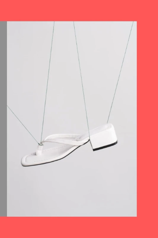 Regular paper and notes books