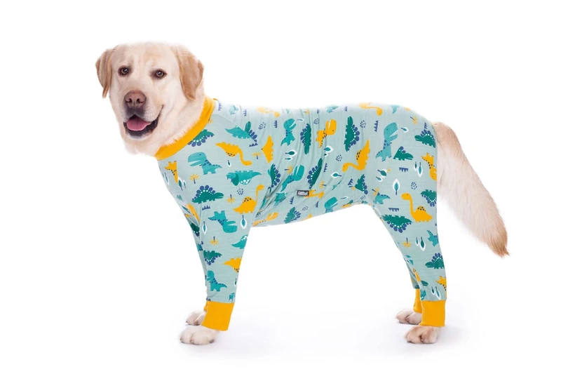 BT Bear Large Dog Recovery Suit - Green Dinosaur Onesie 6XL - Image 1
