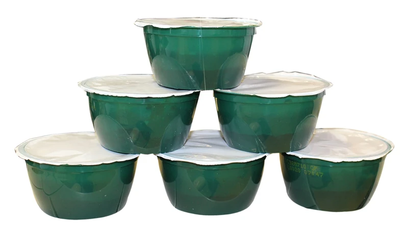 Matthew Walker Festive Catering Gluten Free Christmas Pudding 100 g (Pack of 24) – Vegan Friendly Portions With Rich Flavour – Perfect For Inclusive Festive Catering And Seasonal Events