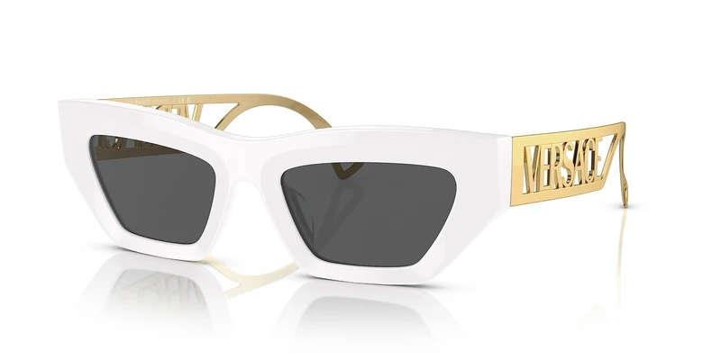 Versace Unisex Adult Sunglasses Sports Accessories