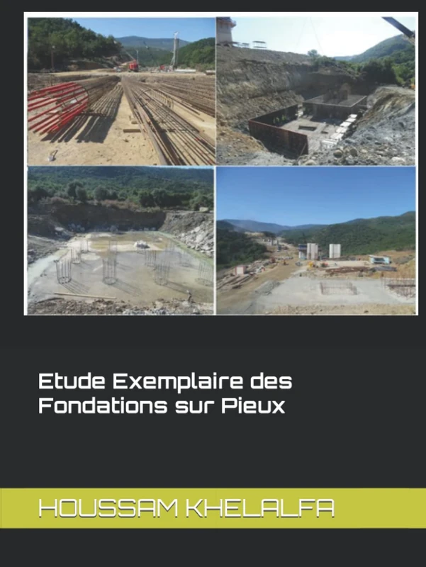 Etude exemplaire des fondations sur pieux