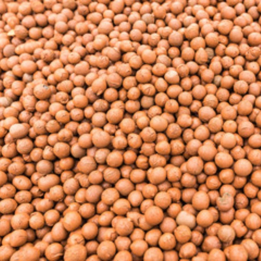UK GROW 10L Clay Pebbles 1L 2L 3L 4L 5L 6L 7L 8L 9L 10L 20L 30L 50L hydroponic Growing Substrate (10L)