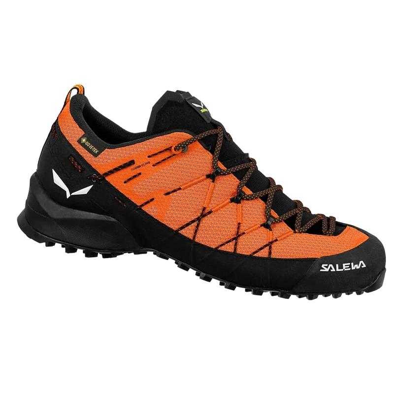 Salewa Wildfire 2 Gore-Tex® Shoe Men, Blue, 11