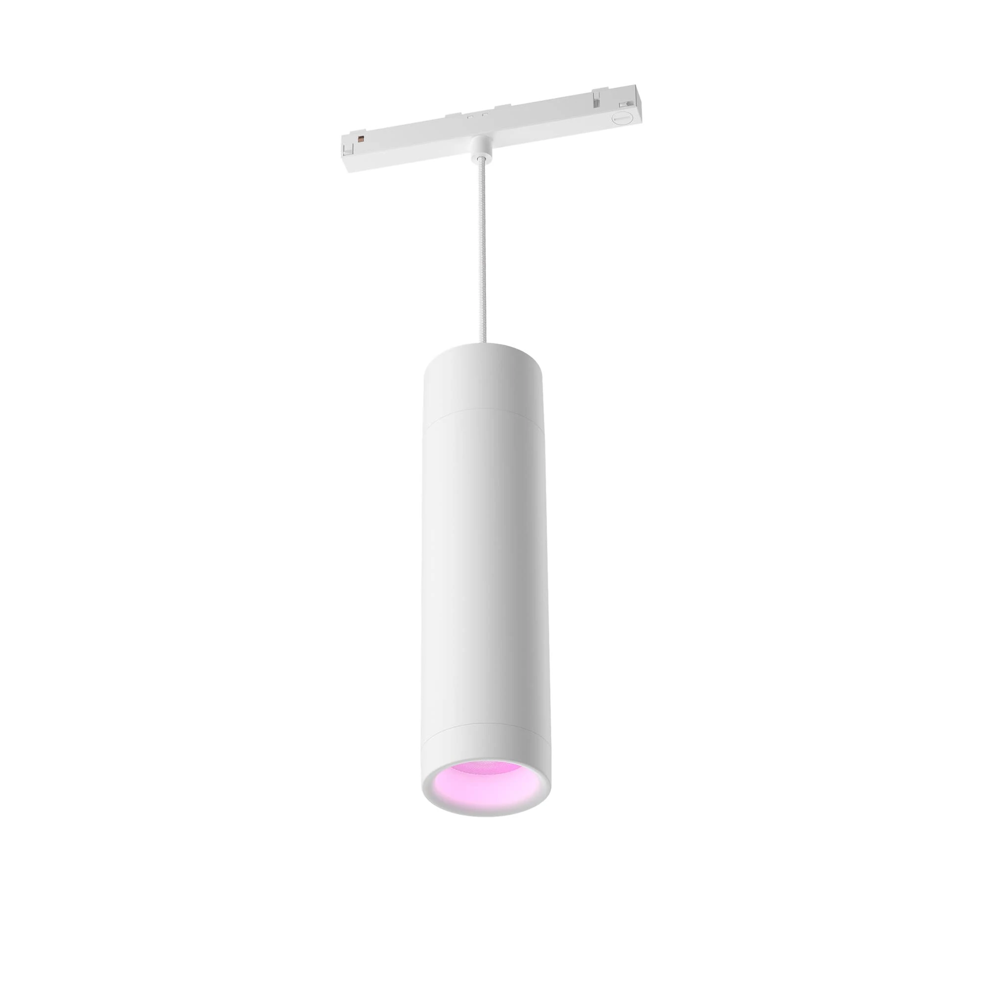 Philips Hue White & Color Amb. Perifo Expansion Pendant Light, Dimmable, 16 Million Colours, Controllable via App, Compatible with Amazon Alexa, Apple HomeKit & Google Assistant, White