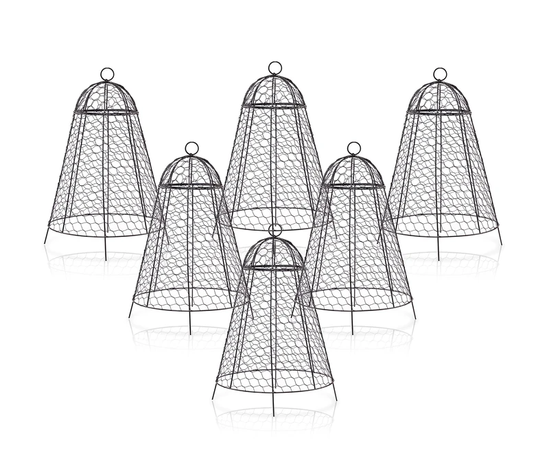 boldworks Garden Cloches for Plants Chicken Wire Cages to Protect from Animals Outdoor Extra Large Rustproof Thicker and Finer Mesh 12" x 20" Pack of 6