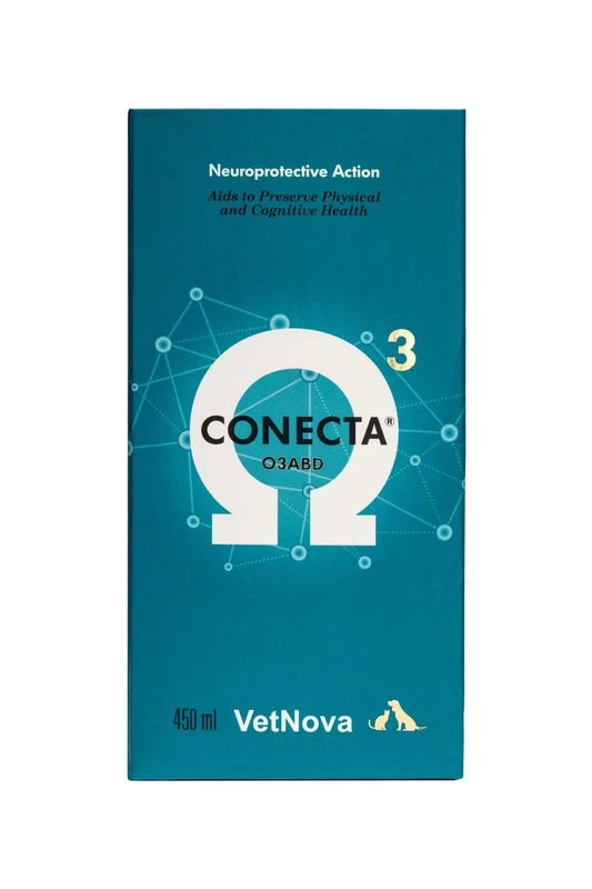 VetNova - Connect Plus, Oral Solution with Omega-3 (DHA EPA), Vitamins B, A, D3 and E with Ginkgo Biloba for Dogs and Cats, Helps Preserve Cognitive Functionality, Mobility and Wellness - 450ml