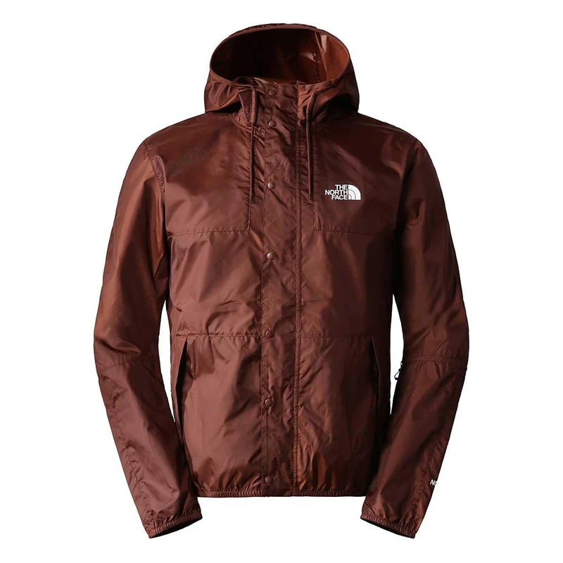 The North Face Seasonal Mountain Jacket Harbor Blue Mountain Peak Print L