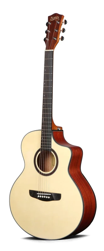 Alysee A140-CE-N Auditorium Cutaway