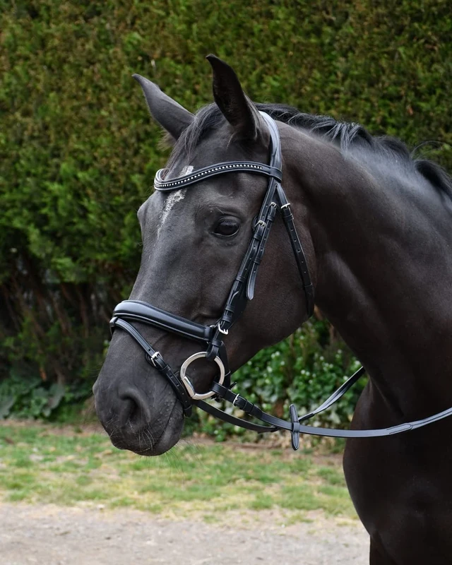 Rhinegold Italia Anatomical Flash Bridle - Cob - Black