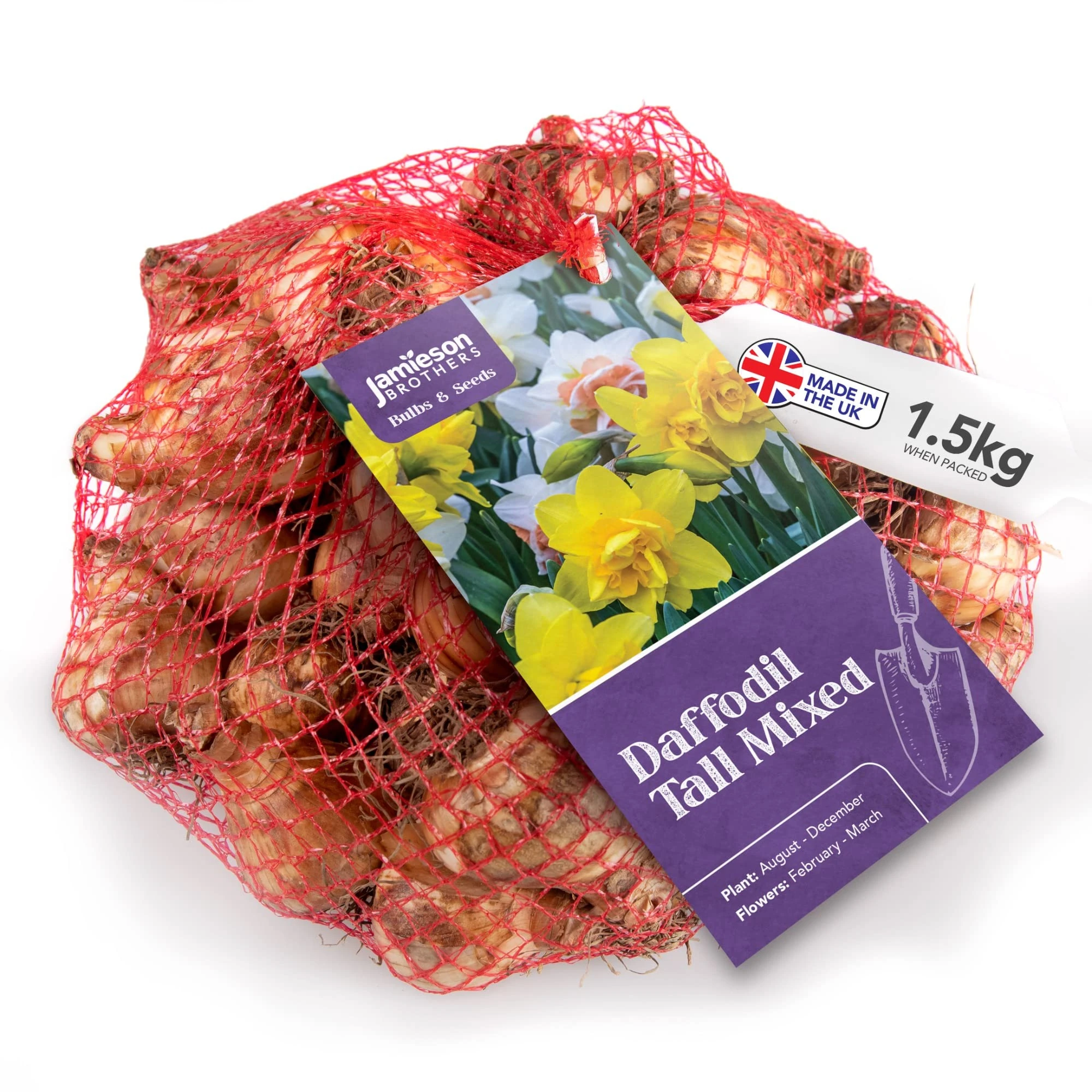 Mixed Daffodil Bulbs 1.5kg of Large Bulbs of Mixed Daffodils (35 bulbs approx.) Plant now in Gardens, Borders & Flowerbeds – Flower Bulbs by Jamieson Brothers