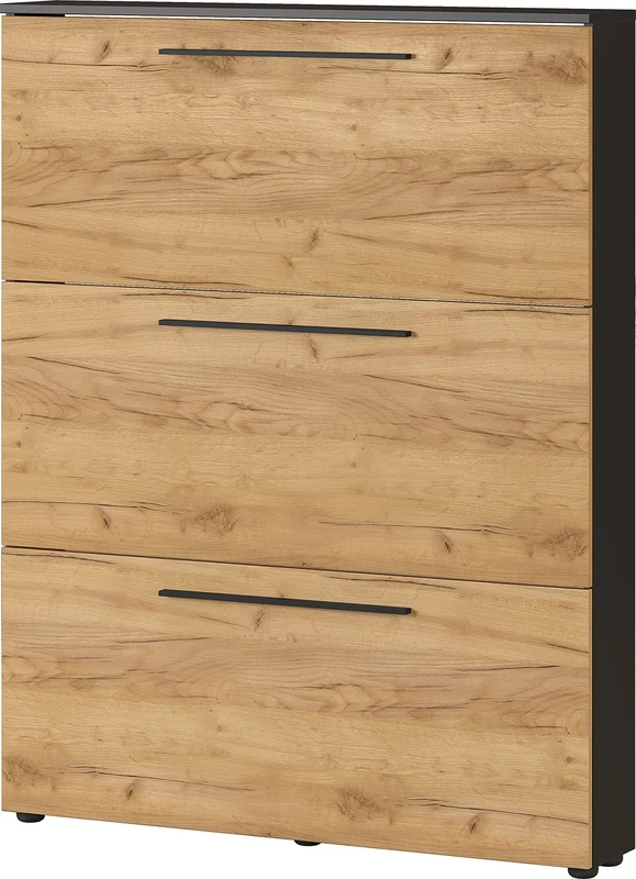 Germania shoe cabinet 3884-549 GW-Wildomar, in Graphite/Navarra-oak, space for up to 12 pairs of shoes, low depth - ideal for narrow hallways, 100 x 129 x 19 cm (WxHxD)