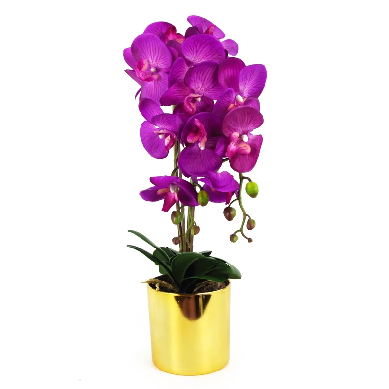 Leaf Design UK Realistic Artificial Orchid Flower Display in Pot
