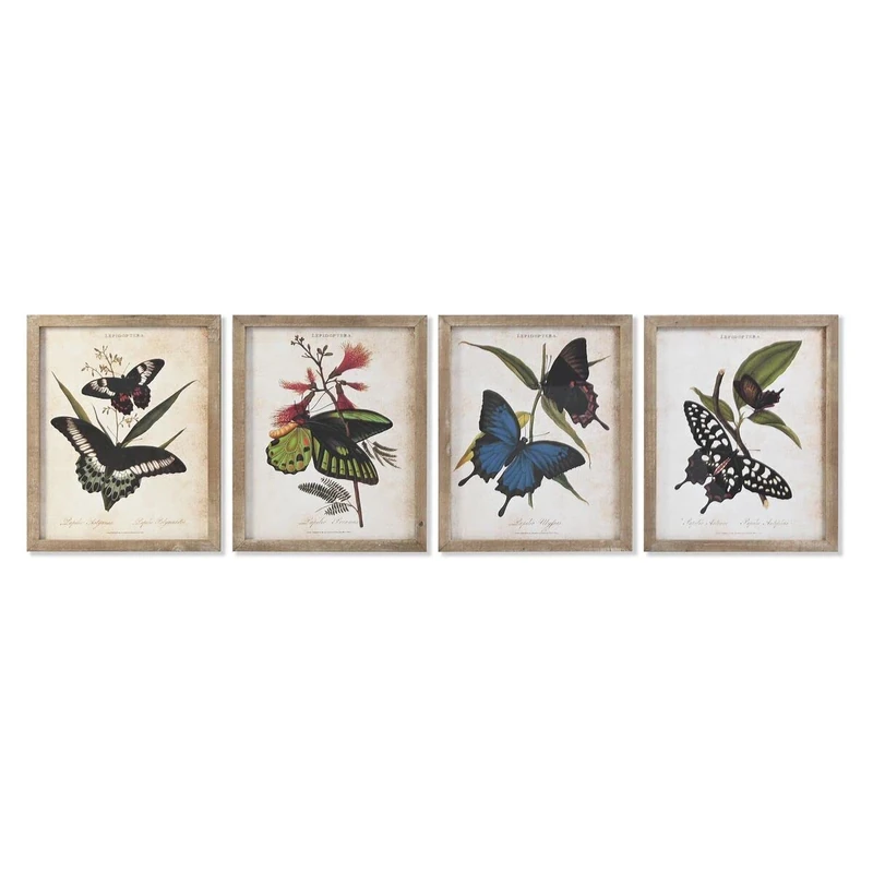 DKD Home Decor Frame, Standard