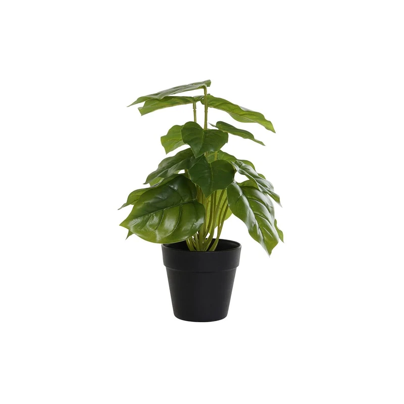 DKD Home Decor Decorative Plant, Standard