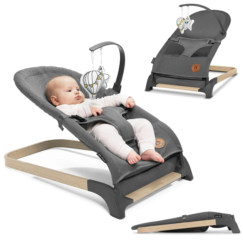 Lionelo June Baby Bouncer for Newborn up to 9 kg Comfy Chair with Natural Soothing Motion, Ergonomic Back Support, 3-Point Safety Harness, Soft Breathable Fabric, Lightweight & Foldable, Toy bar