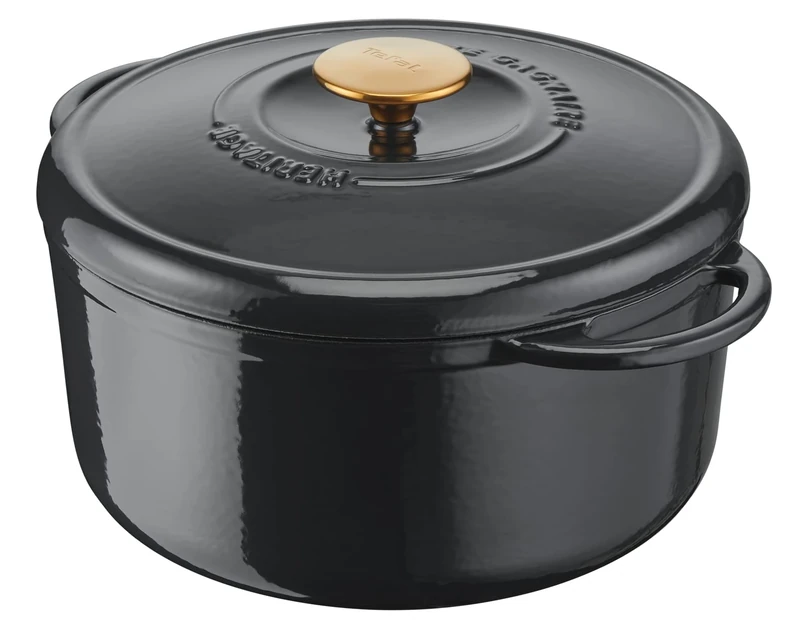 Tefal Gagnaire Heritage Cast Iron Round Casserole Pot 25cm 5L with Condensation Lid Heavy Duty Enamel Coating Excellent Heat Retention, Stewing and Slow Cooking, Grey E2570404