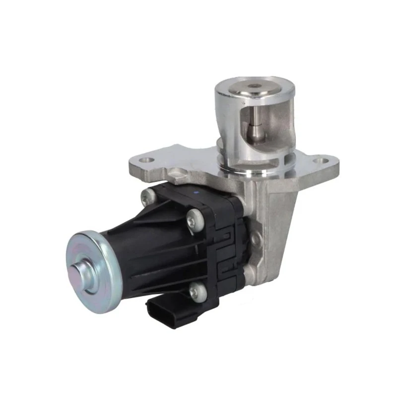 Delphi Technologies EG10553-12B1 EGR Valve
