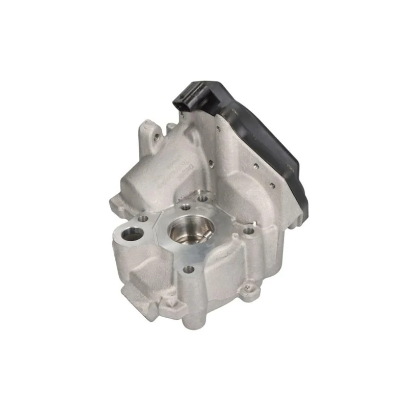 Delphi Technologies EG10538-12B1 EGR Valve