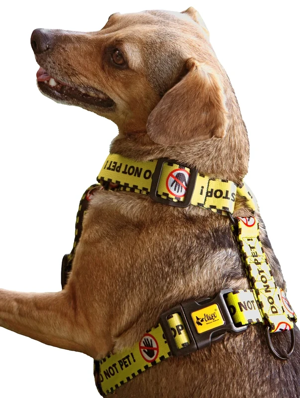Dingo Waldemar Rutkowski Guard Harness – Handmade, Adjustable, Recycled Material, Black/Yellow with “DO NOT PET” Warning Text for Safer Dog Walks, Size M (95378)