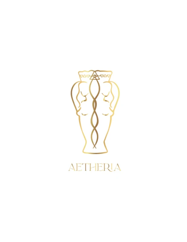 Aetheria Master Practitioner Manual - Study Guide
