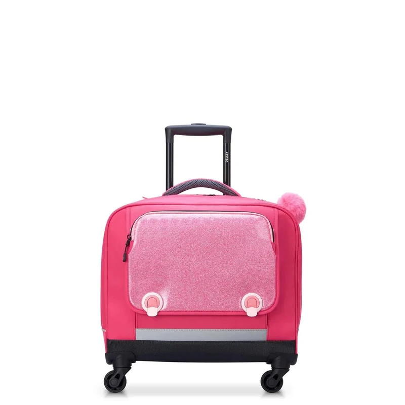 Delsey Leisure and Sportwear Backpack for Unisex Adult, Rose (Pink), Sport