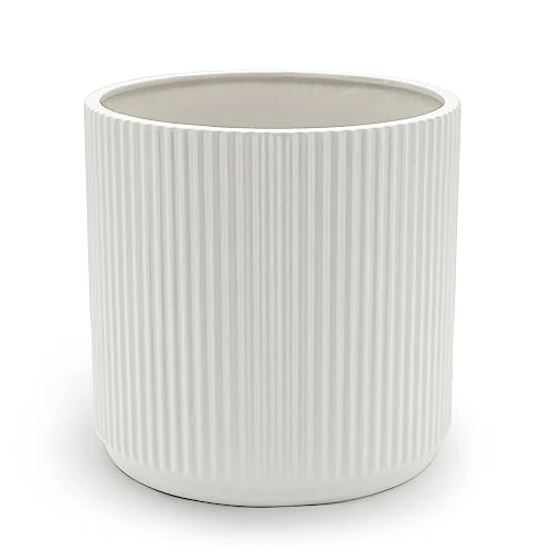 Amazon Basics Fluted Ceramic House Round Planter, 25.4 cm, White