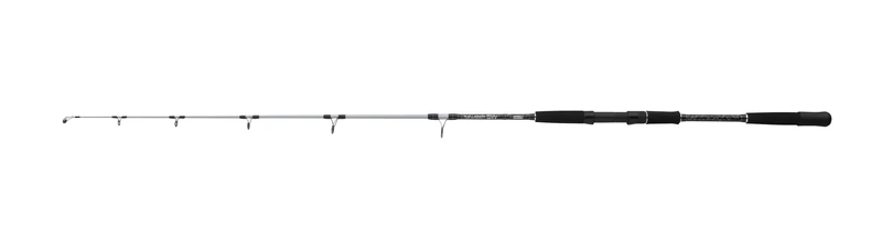 Mitchell Tanager SW Jig Rod | Saltwater Spinning Rod for Jigging | Lightweight | Ideal for Sea Bass, Cod, Pollock | Beginner & Experienced Anglers |Unisex, Silver/Black, 1.6m | 100-250g
