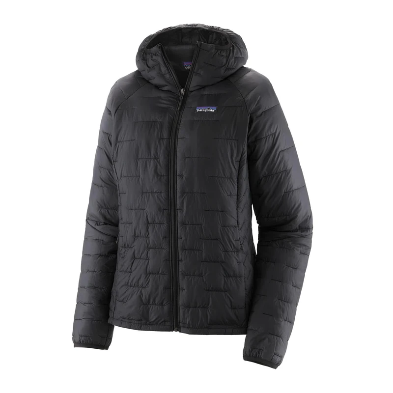PATAGONIA Women's W's Micro Puff Hoody, Black, S