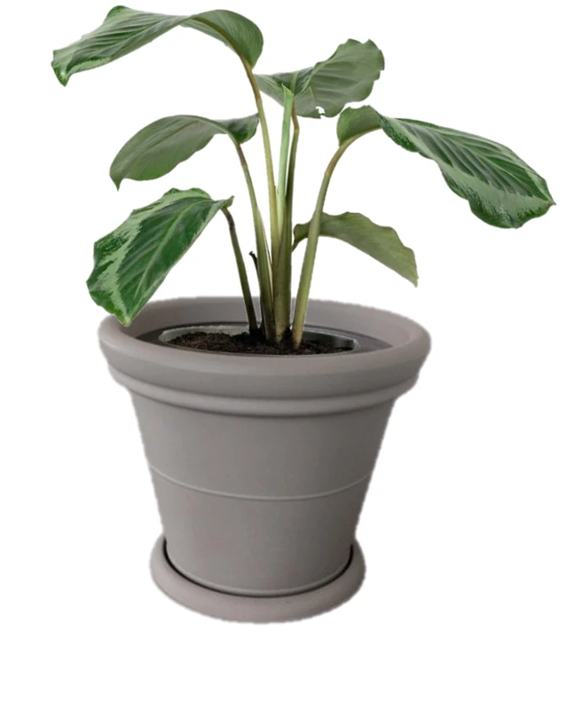 Kloris VASE, Taupe, 50 - Image 1