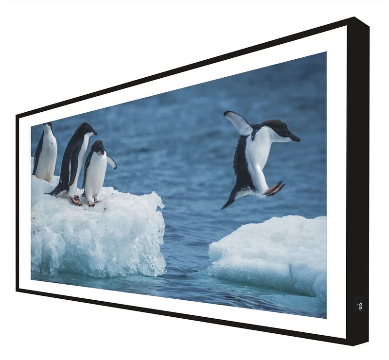 CCRETROILUMINADOS Black Lacquered Wood Frame Picture with Penguin LEDs