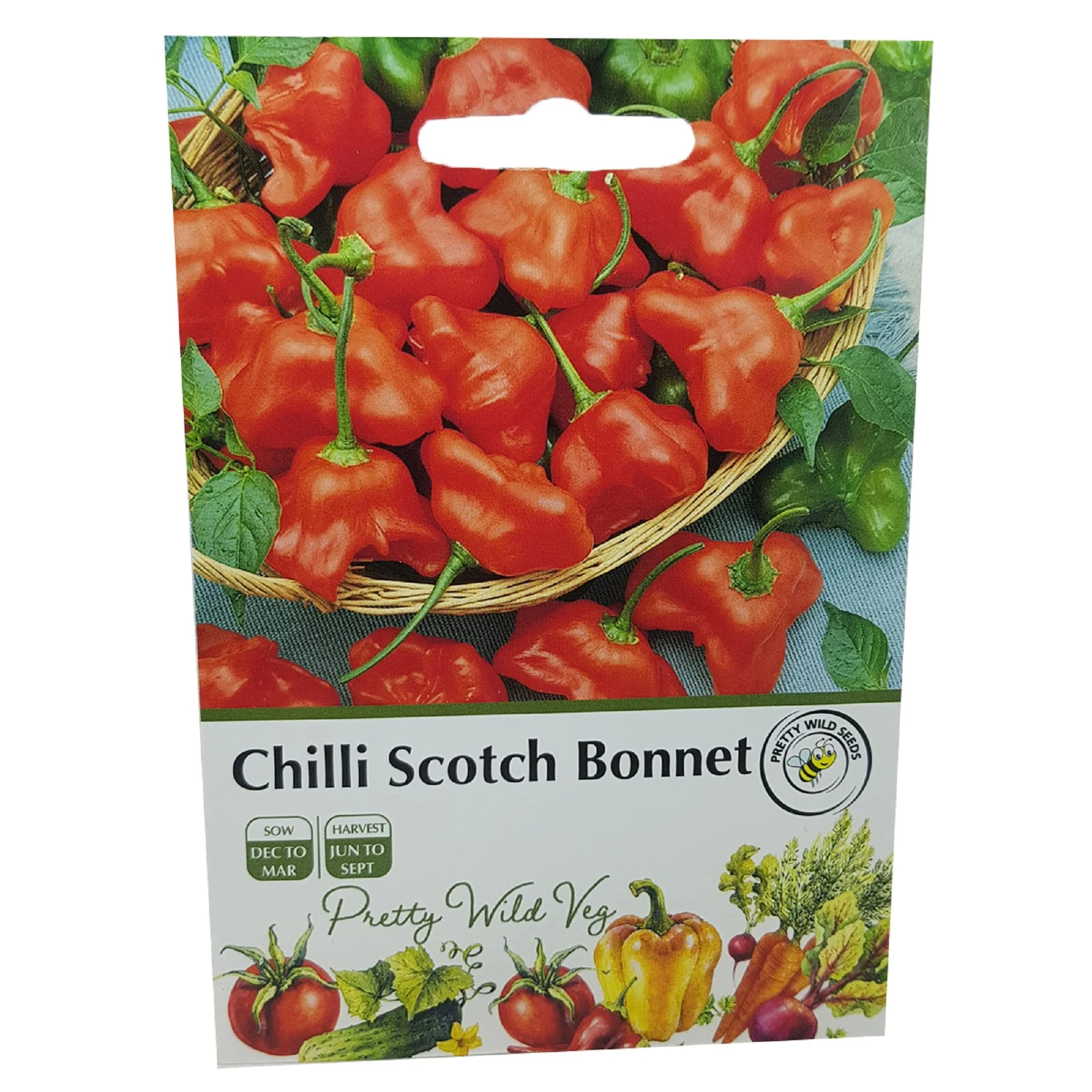 Chilli Scotch Bonnet Seeds in Pictorial Packet from a UK Seller Perennial Hot Pepper Variety