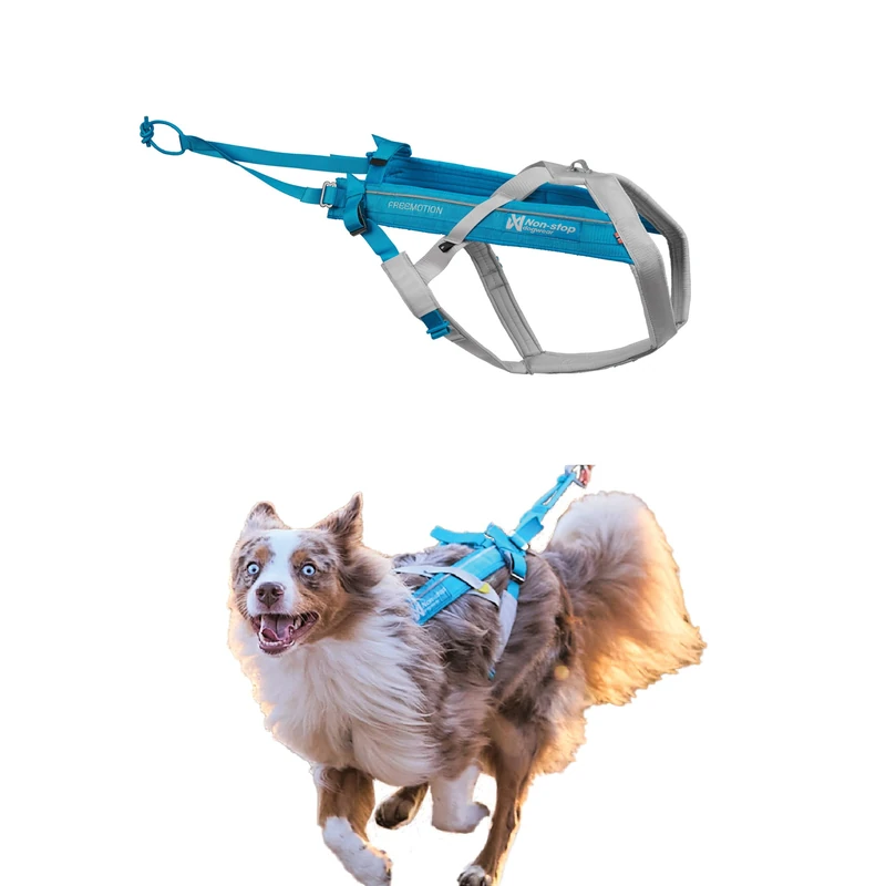 Non-stop dogwear Freemotion harness 5.0 Dog Pulling Harness for Sports like Running, Biking and Skiing with Dogs, Professional Adjustable Dog Harness, Blue/Gray, Size 6
