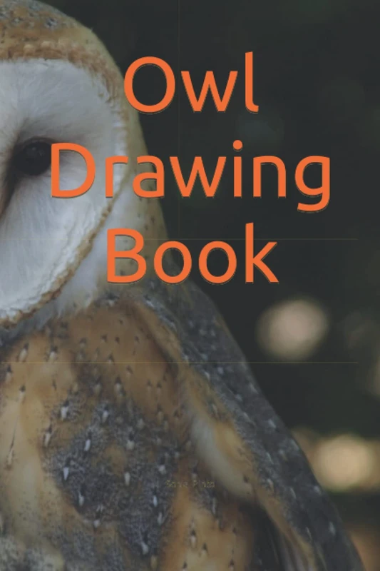 Owl Drawing Book