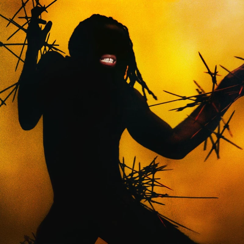 Heavy Heavy [VINYL] - Image 1
