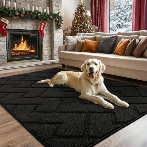 Biscpro Door Mat,119x180cm DoorMat Indoor Washable,Doormat Indoor Dirt Trapper Non-slip,Absorbent Inside Entrance Rug Mat for Entryway,Patio,Garden,Laundry Room,Pets-Black