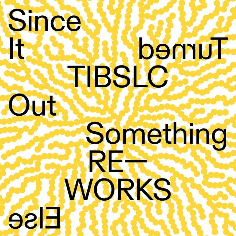 TIBSLC Re-works of Since It Turned Out Something Else [VINYL]
