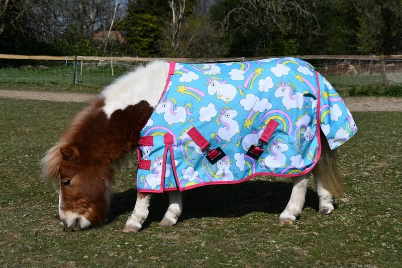 Rhinegold Unicorn Torrent Outdoor Rug - 4/3