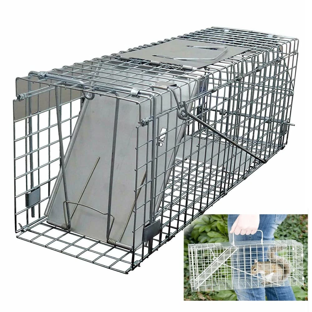 One-Door Live Animal Traps Cage for Rabbit, Squirrel, Possum, Skunk, Kitten, Mink - Humane Rat Trap Catch and Release, Chipmunk Trap Mouse Catcher for Indoor and Outdoor