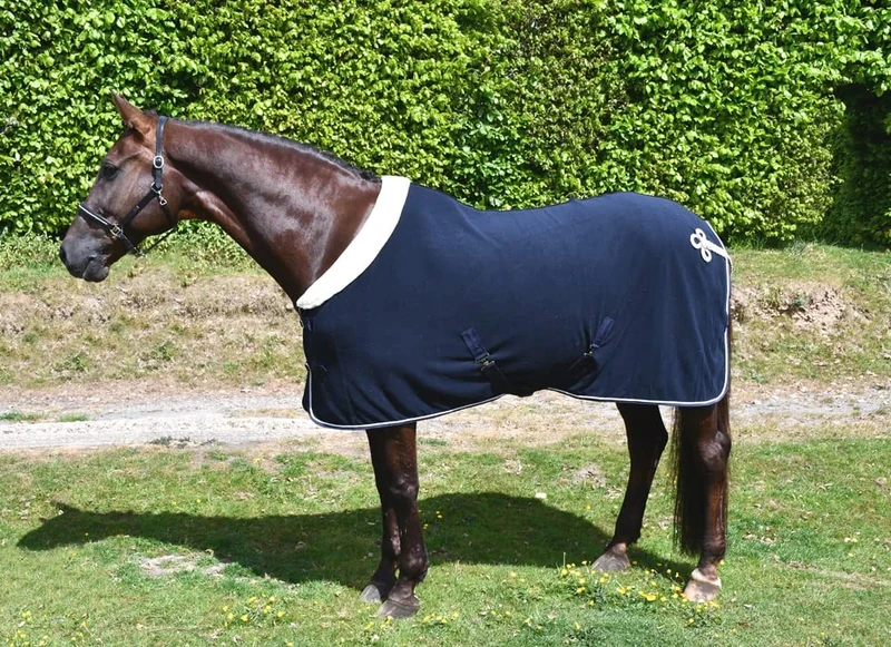 Rhinegold Show Fleece - 6/6 - Navy