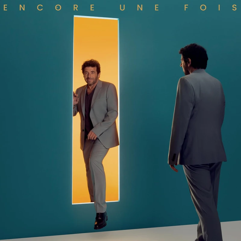 ENCORE UNE FOIS [VINYL]