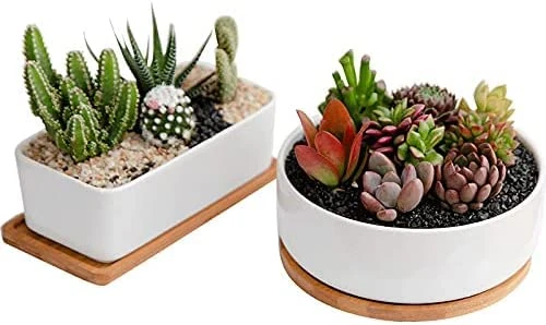 disdain 2 set of Plant Pots Indoor, white Ceramic Plant Pot Small Plant Pots for Home Office Decoration(1 set rectangular+1 set round)