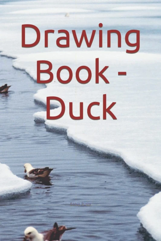 Drawing Book - Duck