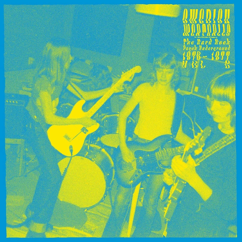 Swedish Meatballs Vol 2 - The Psychedelic Hard Rock Underground 1970-1977 [VINYL]
