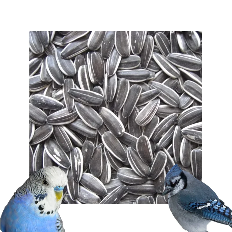 Pulla Premium Striped Sunflower Seeds High Oils & Vitamins Parakeet Wild Garden Bird Parrot Seed (2kg)