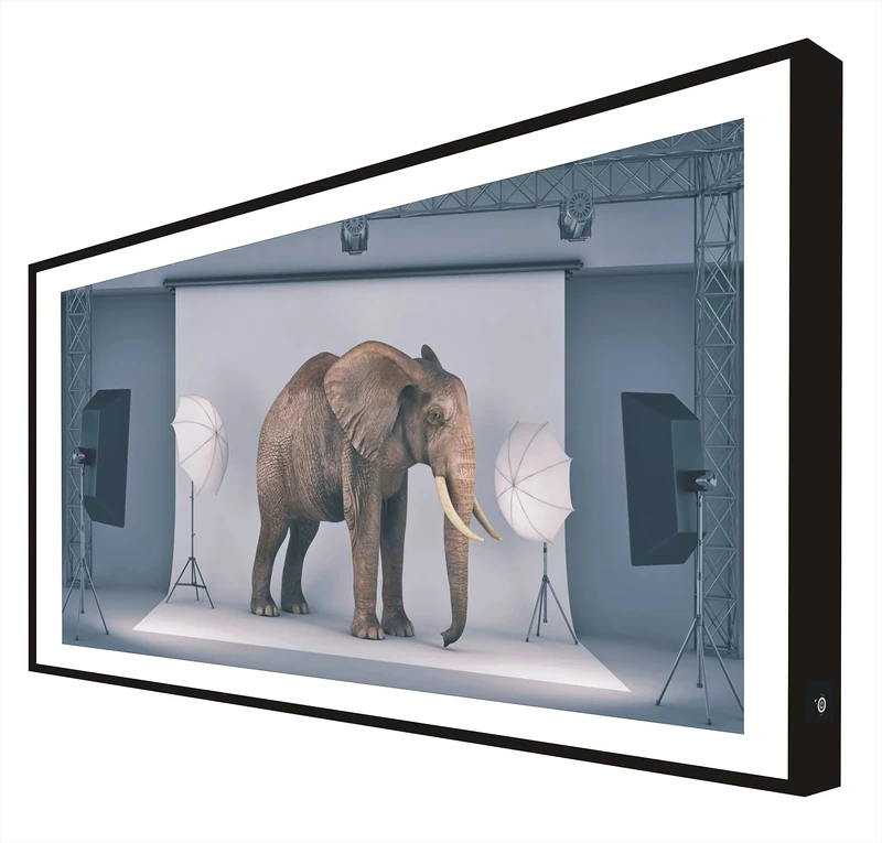 Picture with Lacquered Wooden Frame in Black Illuminated with Led Light Elephant