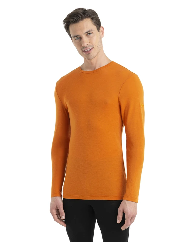 Icebreaker Men's 175 Mid Weight Everyday Top - Long Sleeve Crew T-Shirt - 100% Merino Wool Base Layer - Earth, S